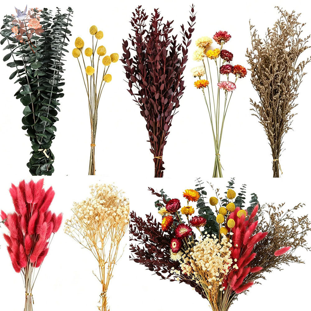 Dried Flowers Bulk Set 7 Kinds - đánh giá và giá Florist Supply Bulk