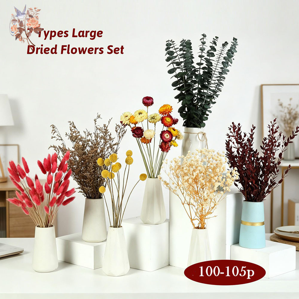 Dried Flowers Bulk Set 7 Kinds - đánh giá và giá Florist Supply Bulk