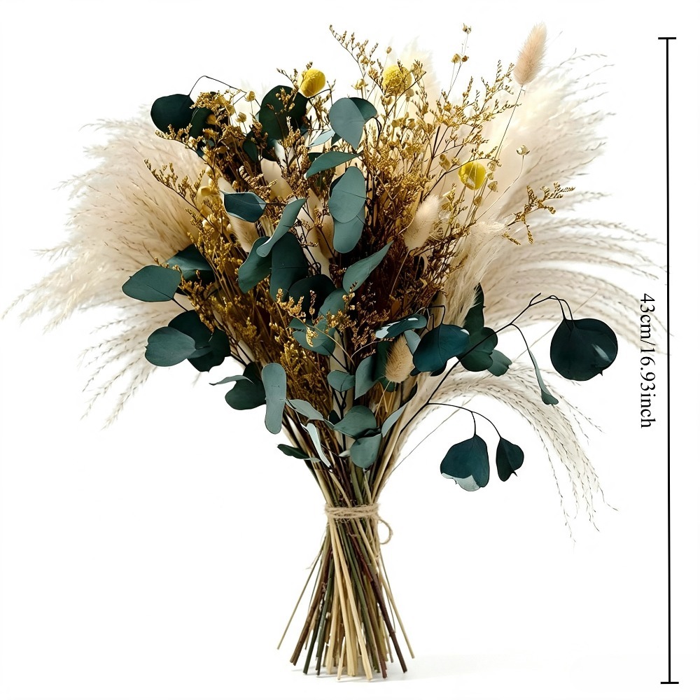 Natural Dried Pampas Grass Bou - đánh giá và giá Eucalyptus Preserved