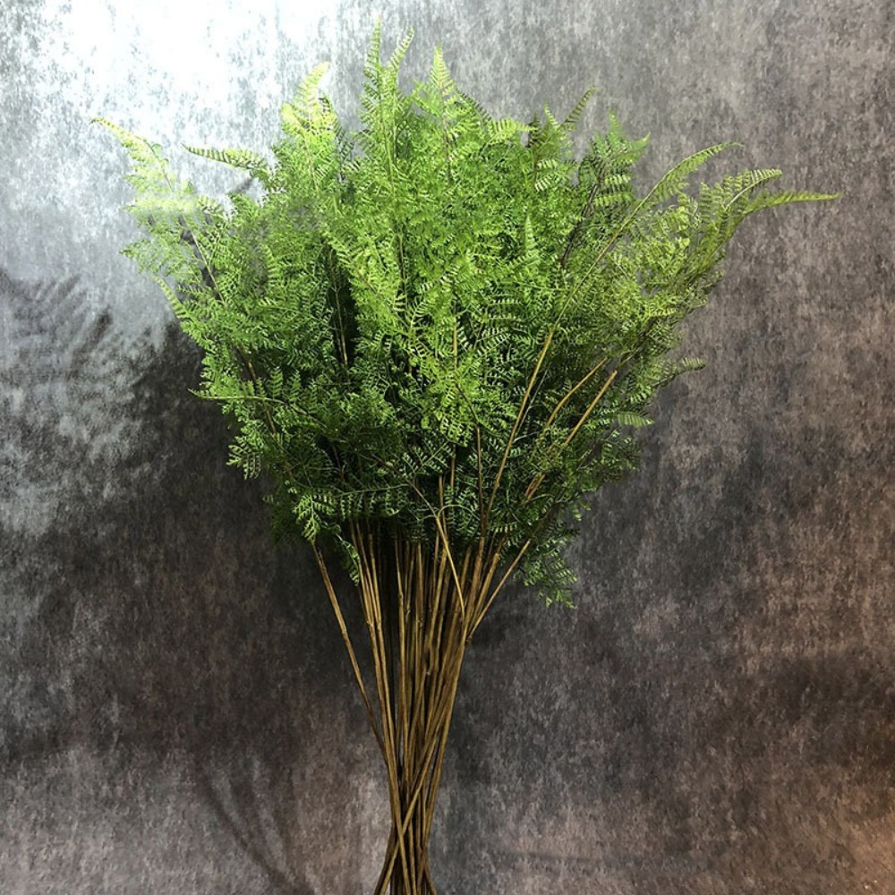 Realistic Artificial Fern Plan - đánh giá và giá Preserved Moss Sheet