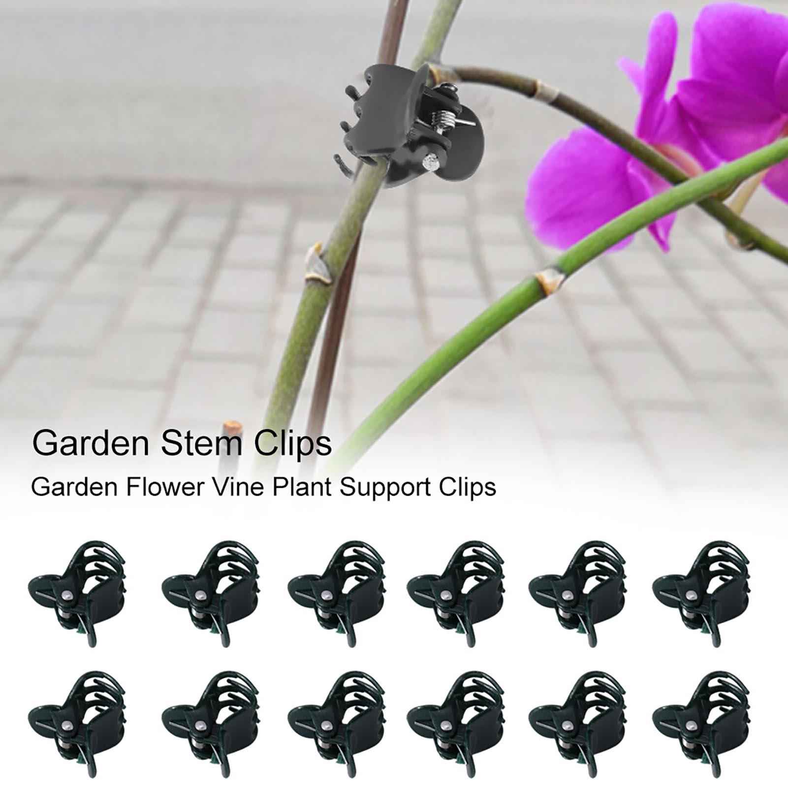100pcs Mini Plant Clips Garden - đánh giá và giá Florist Supply Bulk