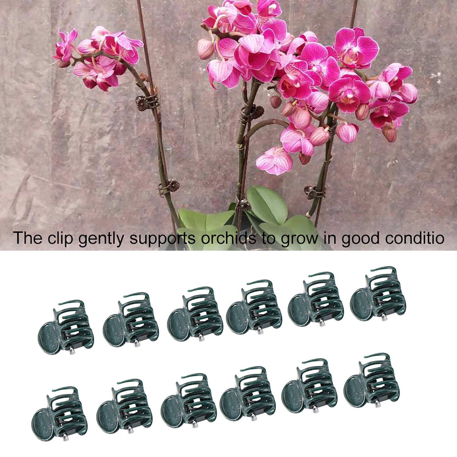 100pcs Mini Plant Clips Garden - đánh giá và giá Florist Supply Bulk