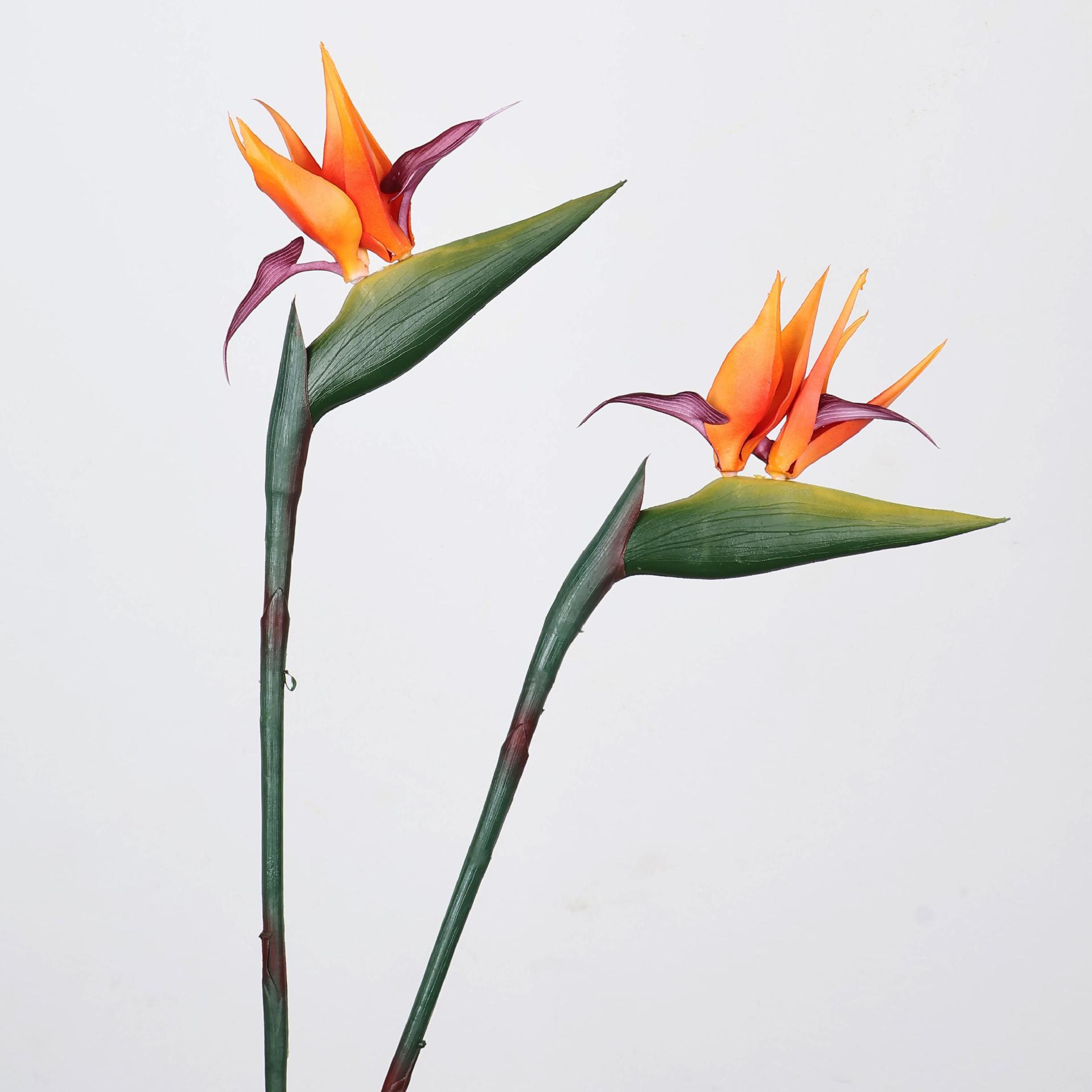 33 Inch Artificial Bird Of Par - đánh giá và giá Florist Supply Bulk
