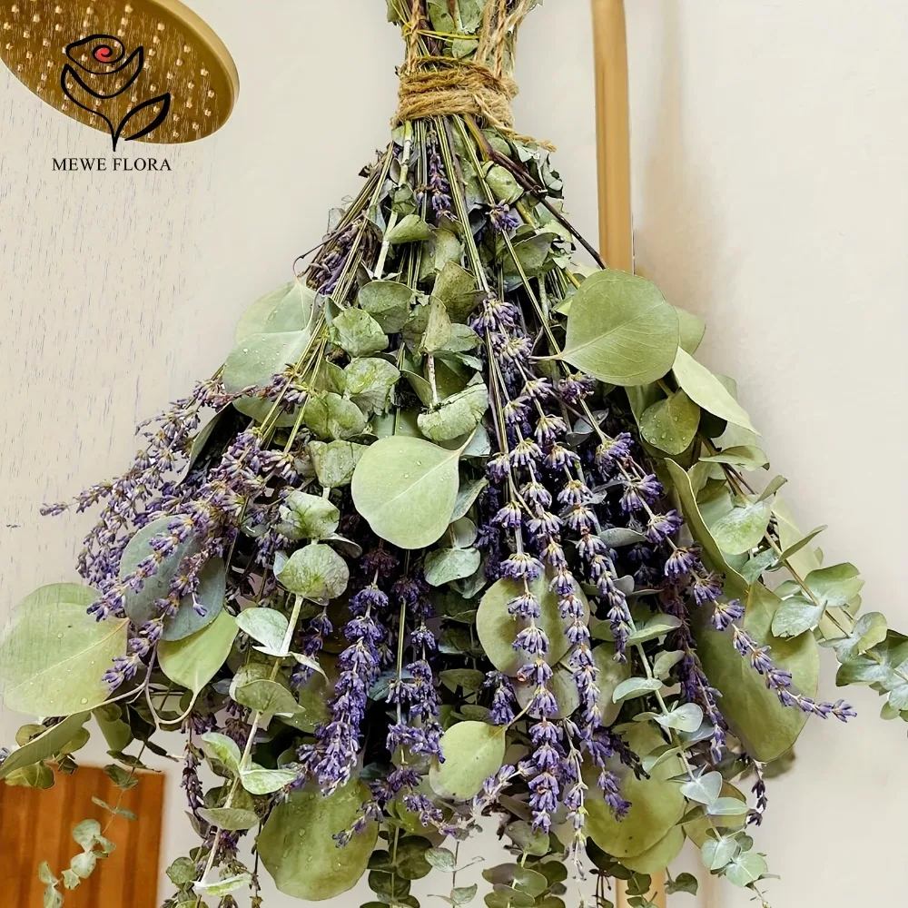 30Pcs Dried Flowers Preserved  - đánh giá và giá Eucalyptus Preserved